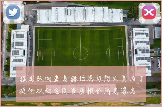 猛龙队向查基赫伯恩与阿利贾马丁提供双向合同资质报价消息曝光